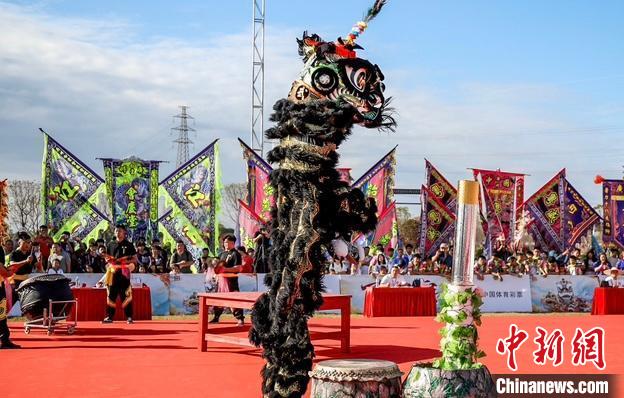 广州白云区18支醒狮齐聚参与‘百狮争霸’竞逐狮