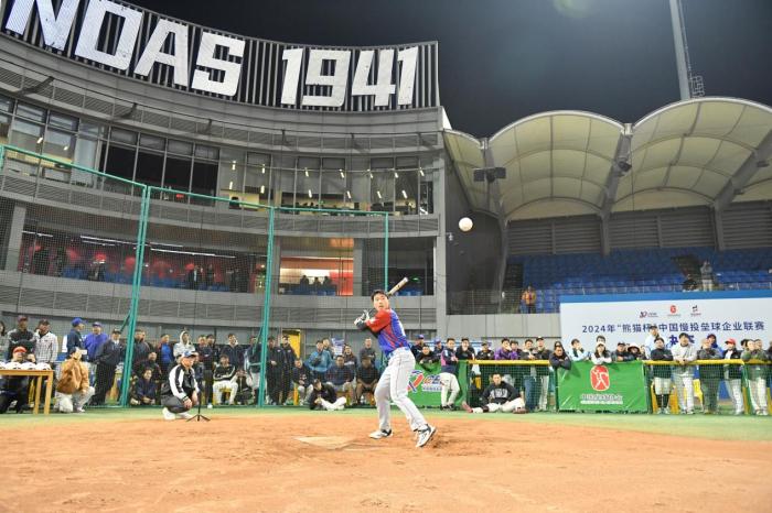 熊猫杯慢投垒球联赛规模再创新高总参与人数突